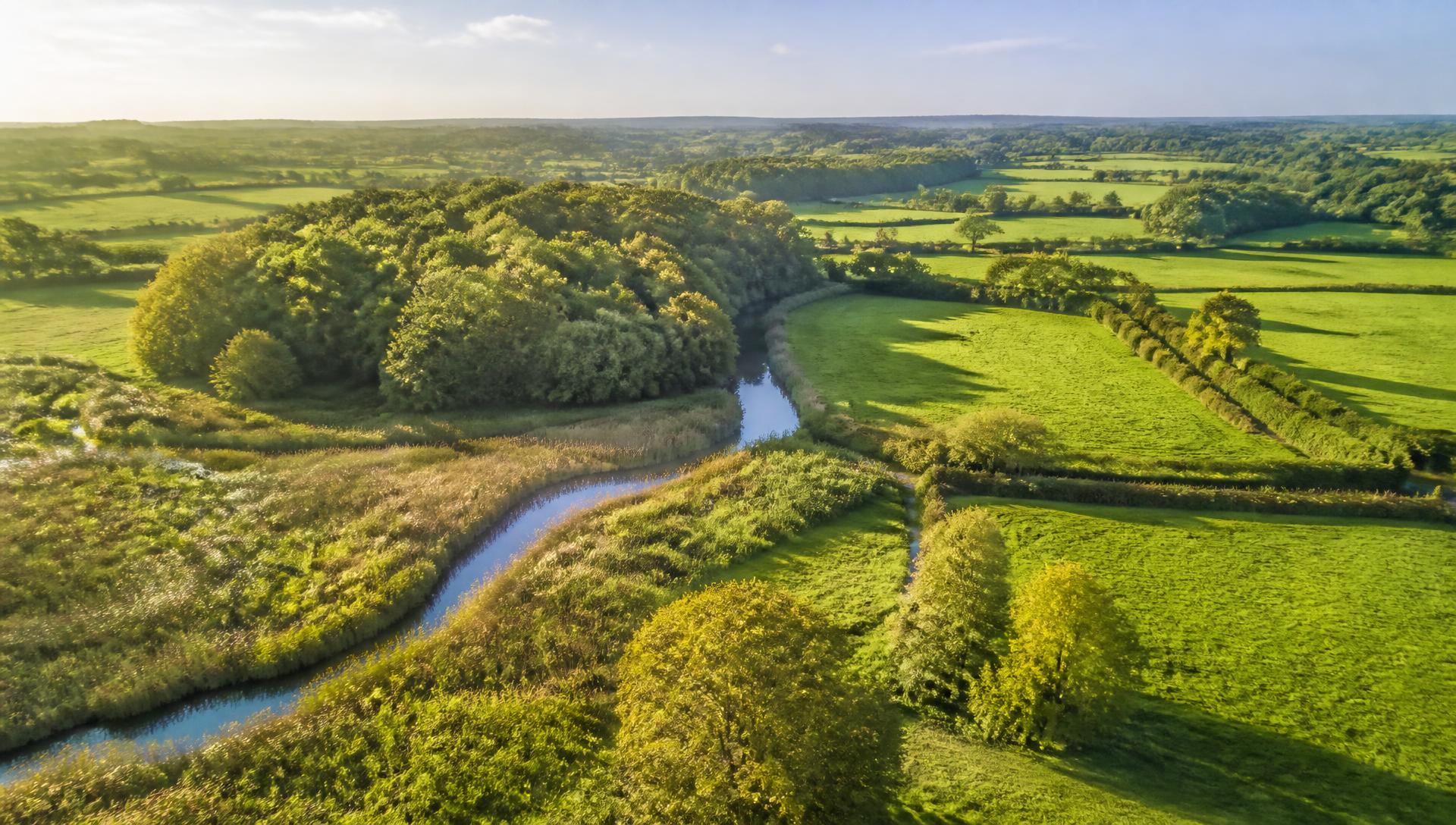 Sunlit aerial view of English pasture, hedgerows, woodland and a winding stream